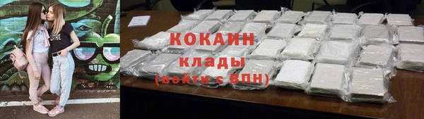 кокс Алексин