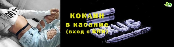 прущие крисы Алзамай
