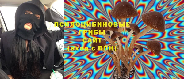 кокс Алексин