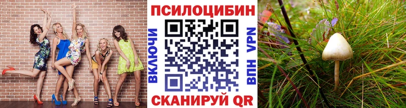 купить наркоту Боготол Псилоцибиновые грибы GOLDEN TEACHER