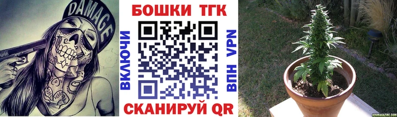 ссылка на мегу tor  Боготол  Бошки марихуана конопля  маркетплейс Telegram  дарнет шоп 